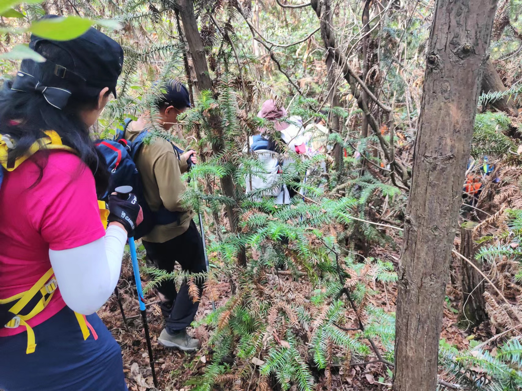 十五公里登山徒步：常镇界山 丫鬟山&瓦屋山&腰子顶 山脊穿越